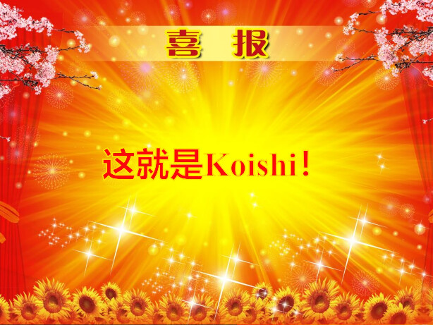 喜报：这就是Koishi！